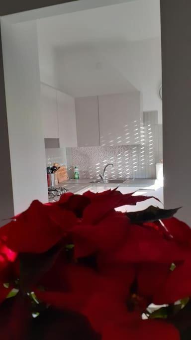 Lo Tsanty Casa Vacanza 아오스타 외부 사진